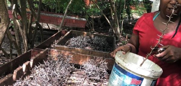 Tuin aanleg  plus verbeteren werkvloer